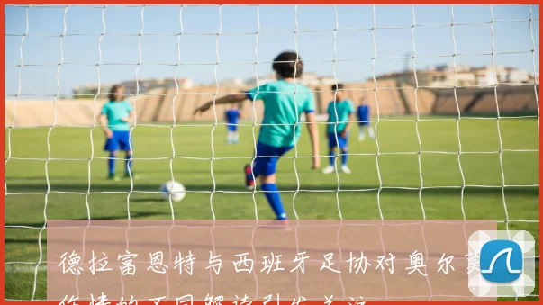 德拉富恩特与西班牙足协对奥尔莫伤情的不同解读引发关注