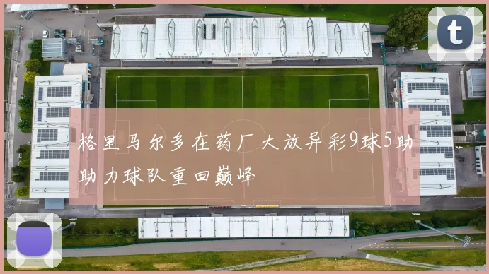 格里马尔多在药厂大放异彩9球5助助力球队重回巅峰