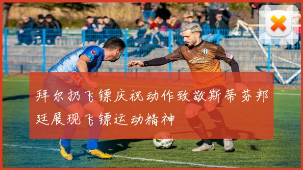 拜尔扔飞镖庆祝动作致敬斯蒂芬邦廷展现飞镖运动精神