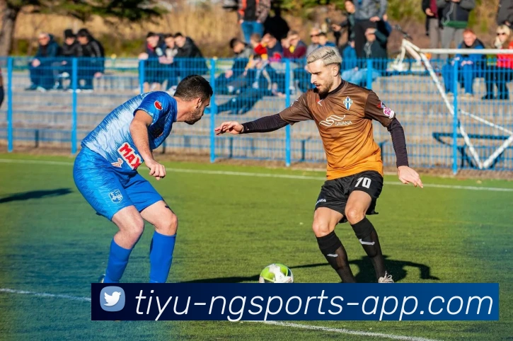 南宫体育平台生态图