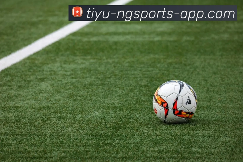 南宫体育全站App